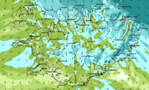 Grillhátíð foreldrafélagsins-frestað