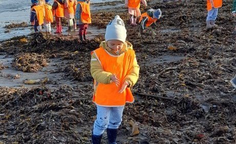 Sumarkveðja og fréttir af Vallarseli