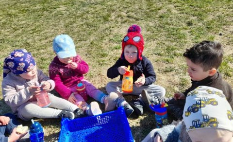 Sumarlokun Vallarsels